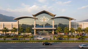 Lotus supermarket in New Zealand: what it is, how it works, and smart ways to shop